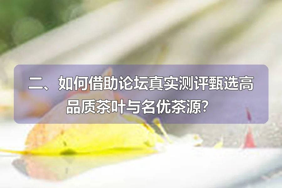 二、如何借助论坛真实测评甄选高品质茶叶与名优茶源？